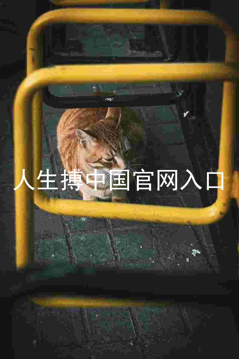 人生搏中国官网入口