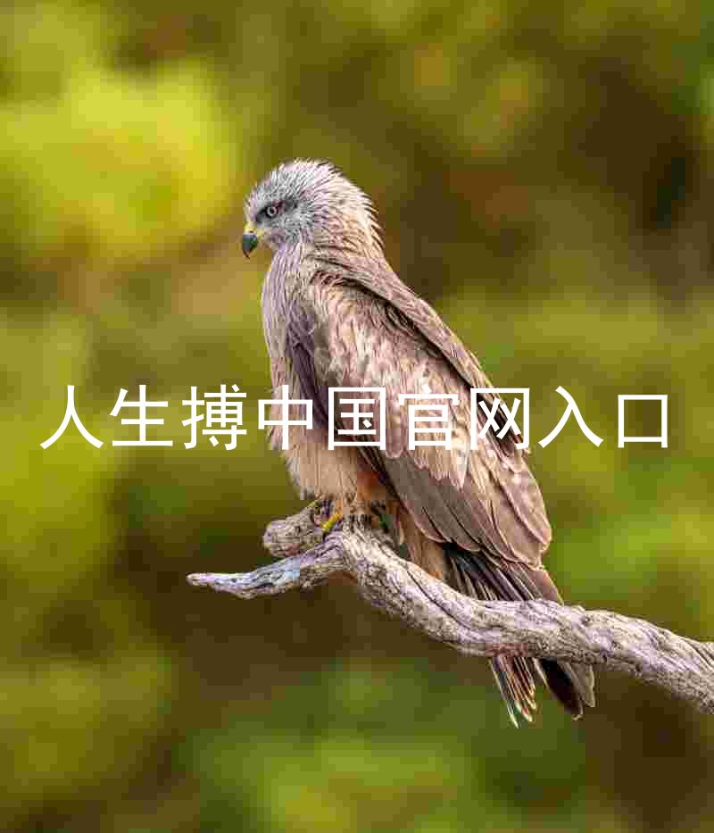 人生搏中国官网入口