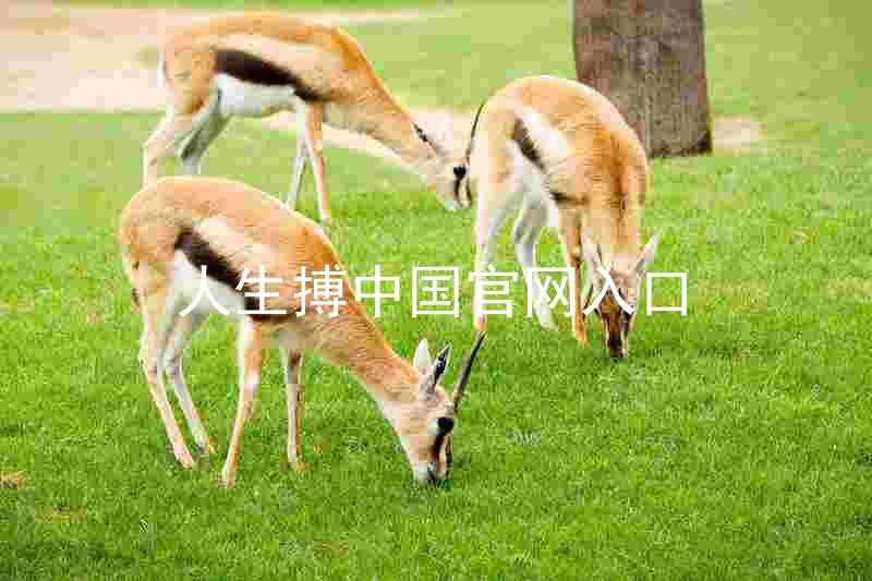 人生搏中国官网入口