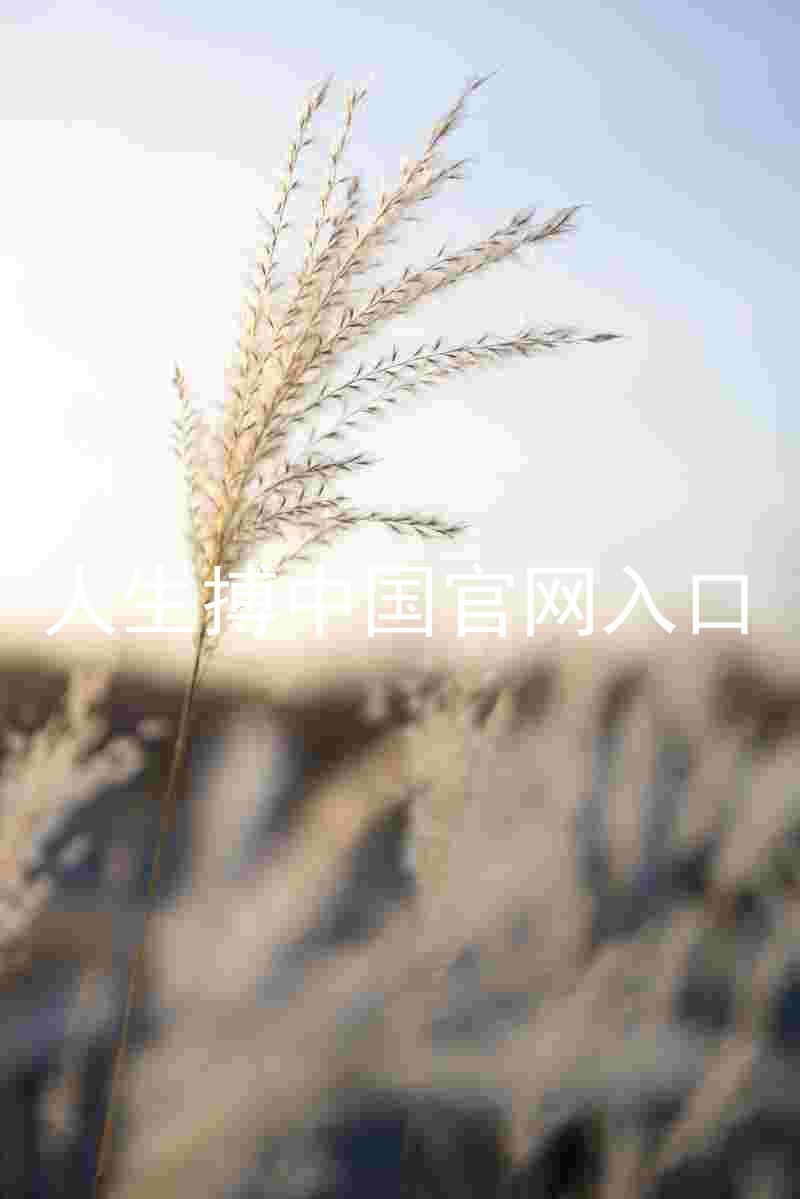 人生搏中国官网入口